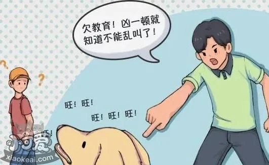 狗狗犯錯后“裝可憐”，真的知道錯了嗎？