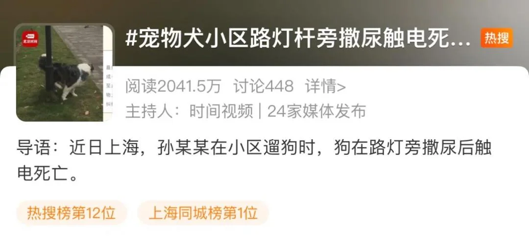 寵物狗路燈旁撒尿觸電死亡，寵主向物業索賠5萬！