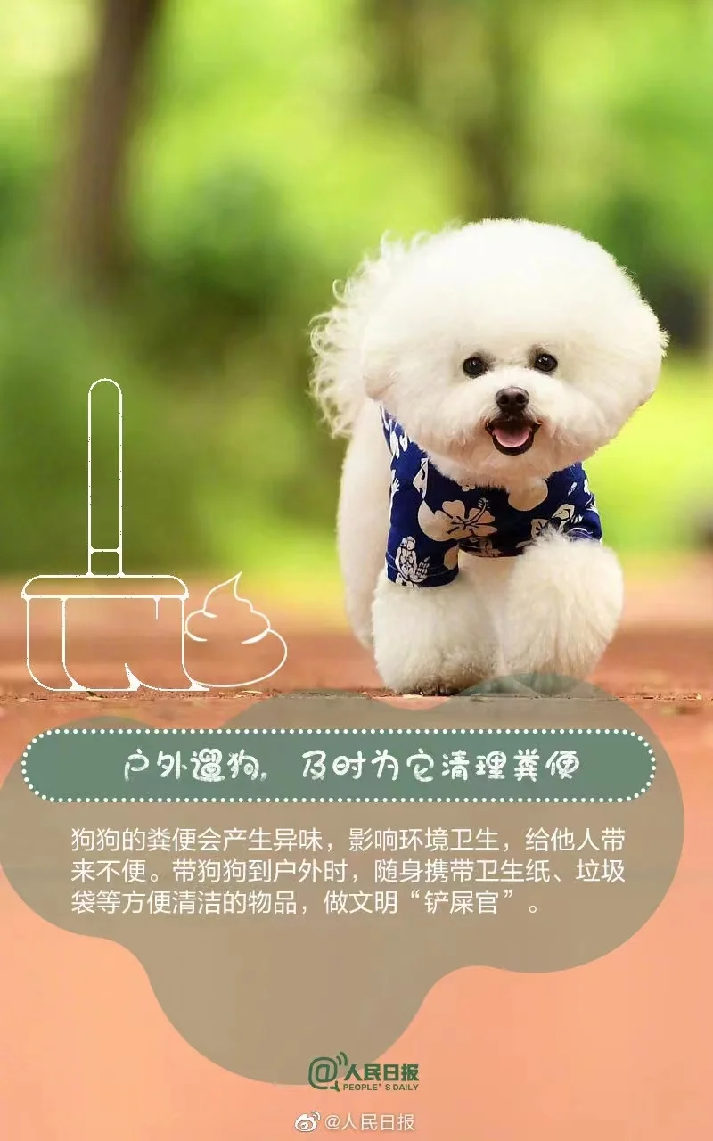 @黃石的鏟屎官們，請(qǐng)接力，做文明養(yǎng)犬人！