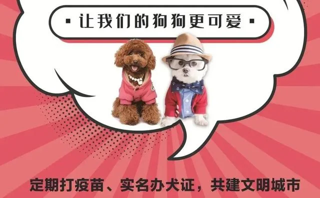 @黃石的鏟屎官們，請(qǐng)接力，做文明養(yǎng)犬人！