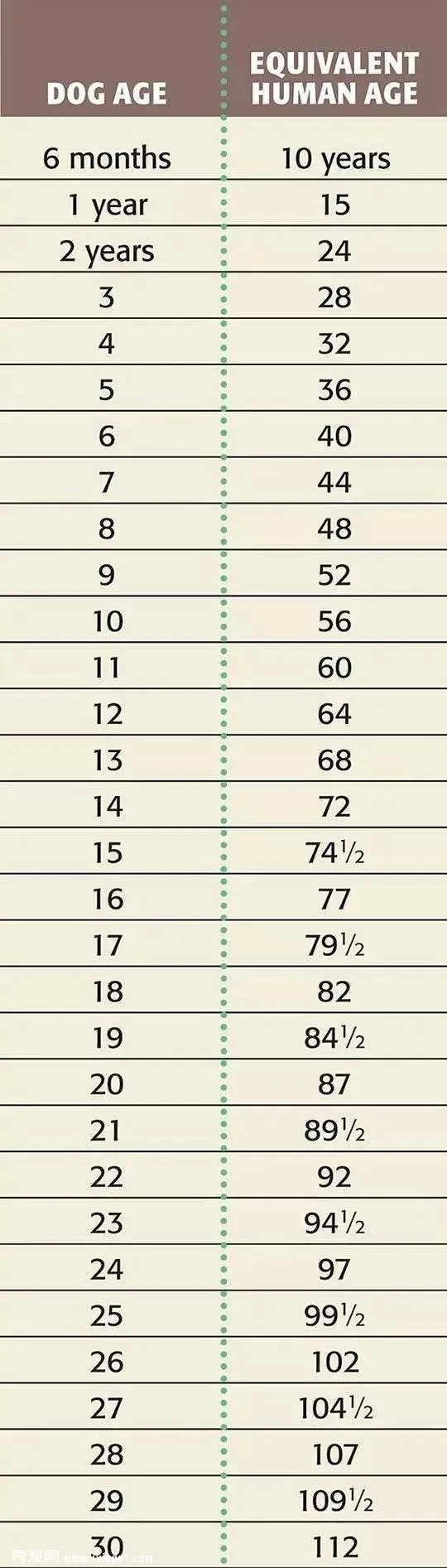 多大的狗算老年犬？有哪些生理跡象？