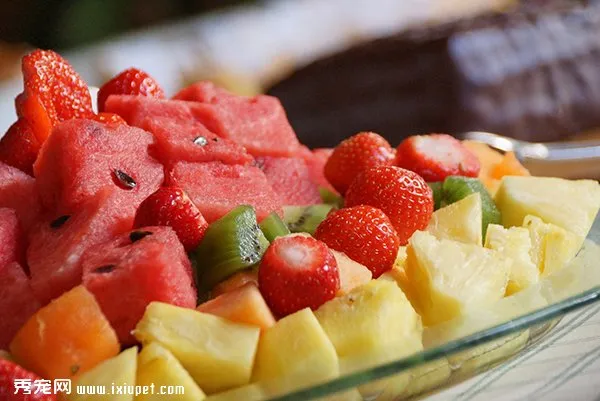 fruit-1825537.webp