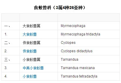 食蟻獸的生活習性及分布范圍|繁殖方式