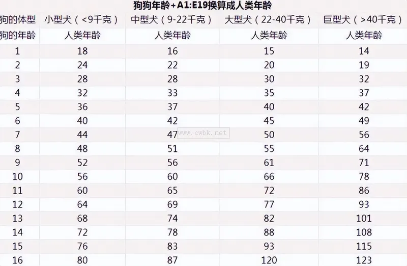 狗狗年齡自查表，你知道你家狗狗多大嗎？