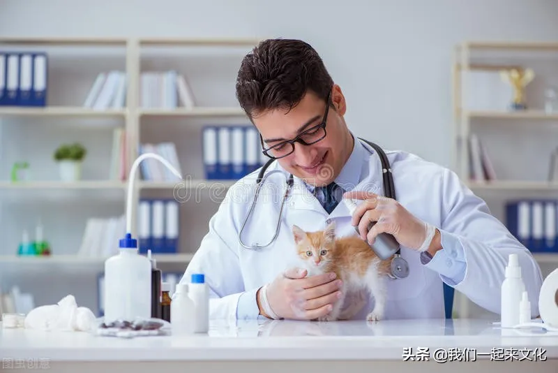 當寵物醫生高考報考什么專業，這個專業的名稱為動物醫學專業