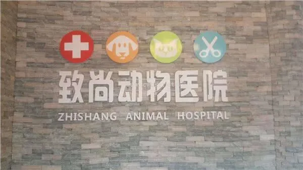 致尚動物醫院,大坪附近