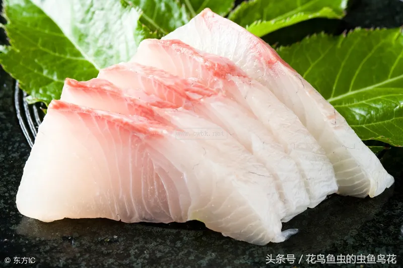 金魚(yú)食物之八葷八素