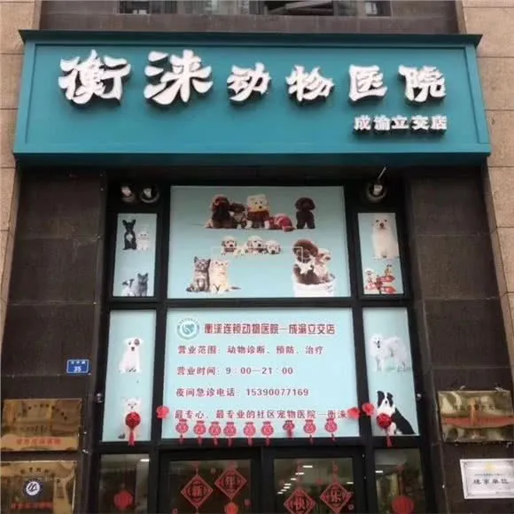 衡淶寵物醫院(成渝立交店),成渝立交附近