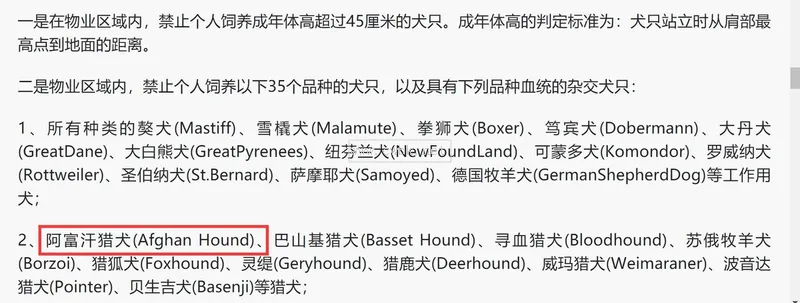 阿富汗犬，深受國外明星模特喜愛，為何被我國列為禁養(yǎng)犬？