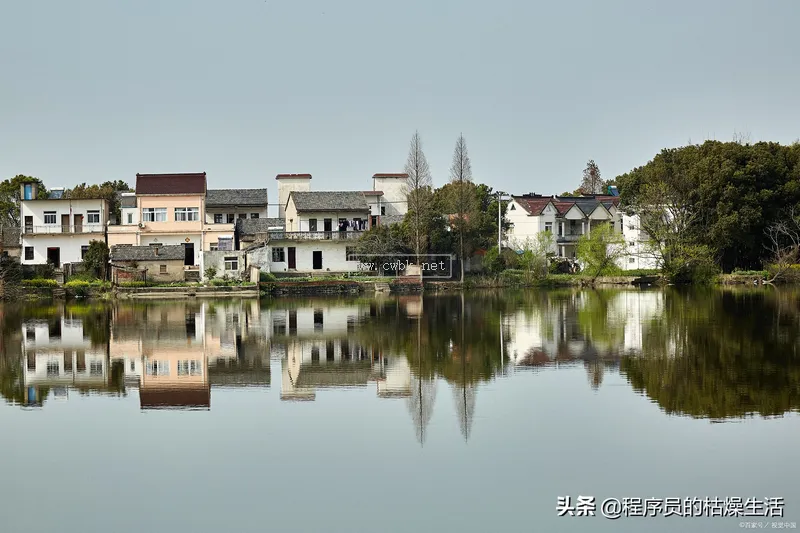 怎么趕走野貓，貓咪都害怕什么