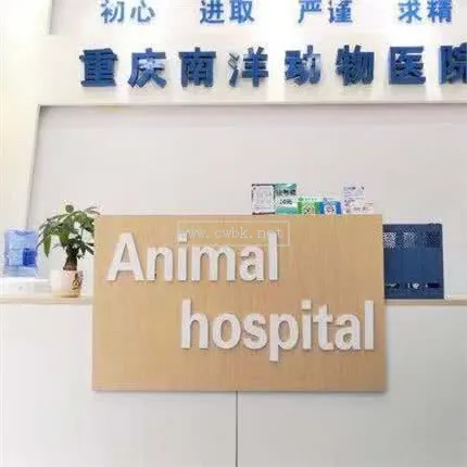 南洋動物醫院,黃泥塝附近