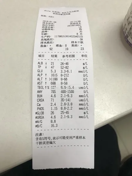 狗血小板0怎么辦