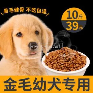 三個月的幼犬一天吃多少狗糧