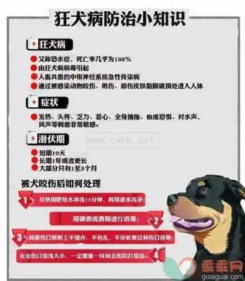 狂犬疫苗什么時間打