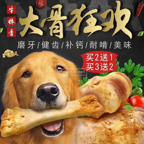 狗為什么會啃狗骨頭