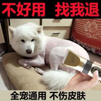 狗狗剃毛器