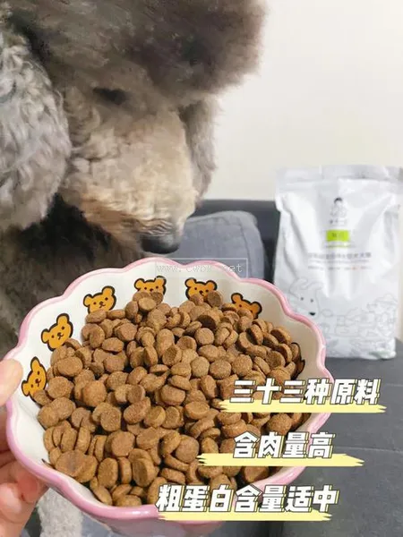 什么飼料能代替狗糧