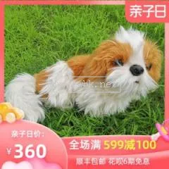 兒童最好的陪伴犬 