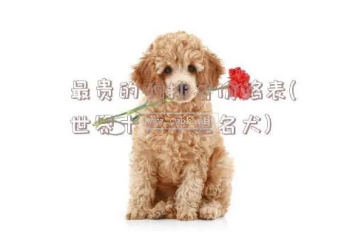 小型犬喂渴望怎么樣