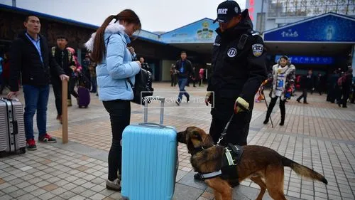 搜爆犬是什么意思