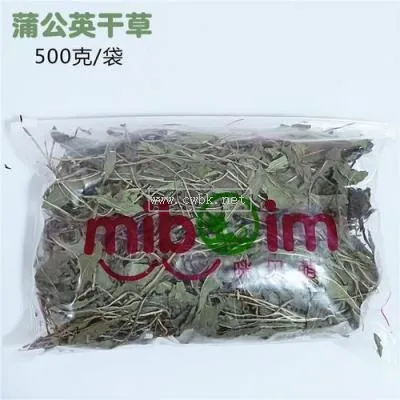 龍貓可以吃多少蒲公英