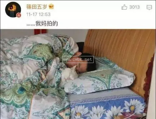 老千生涯貓白殺了拖油瓶嗎 