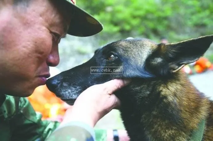 西北犬王真實事跡