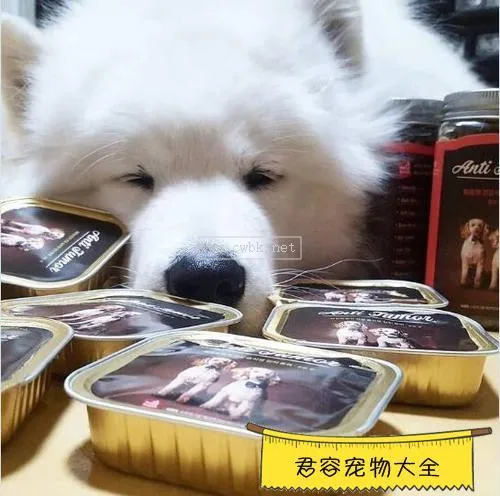 成犬薩摩吃什么狗糧好