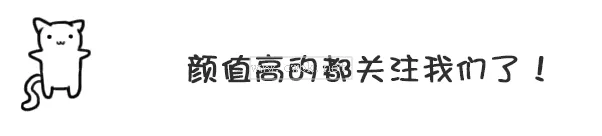 泰迪狗多少錢一只？影響價格的6大因素