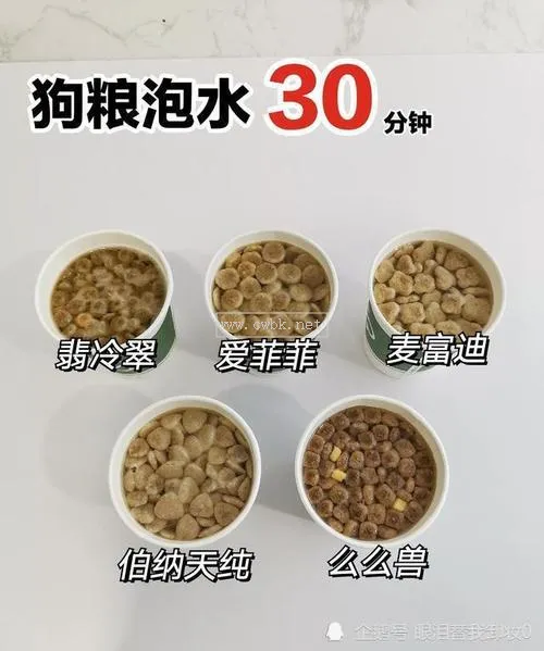 狗糧可以泡水嗎