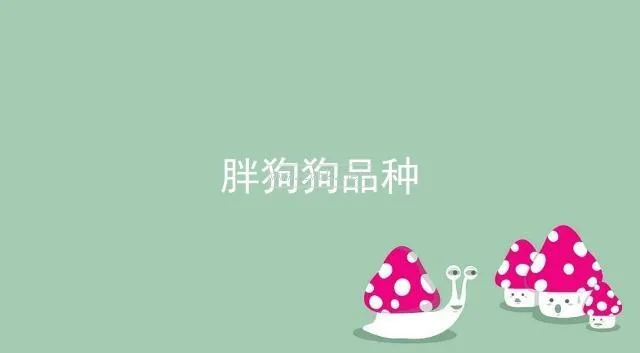 矮胖的狗什么名字