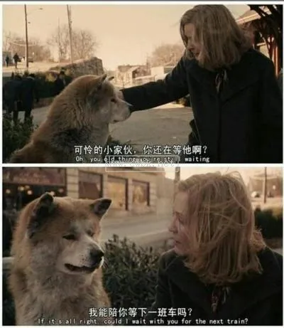 為什么忠犬八公能等9年 