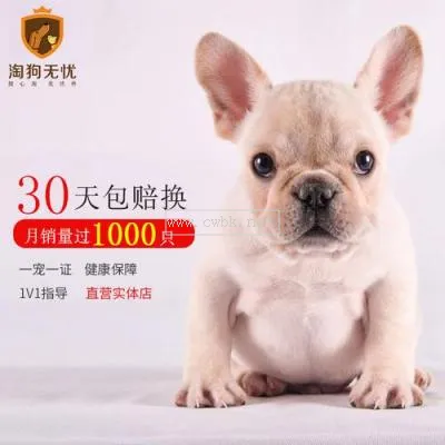 法斗犬的價(jià)格是多少