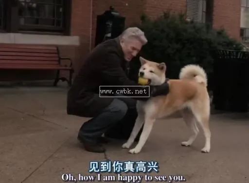 為什么忠犬八公能等9年 