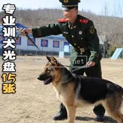 國內(nèi)第一訓(xùn)犬師 