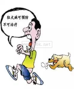 給狗咬了可以吃什么