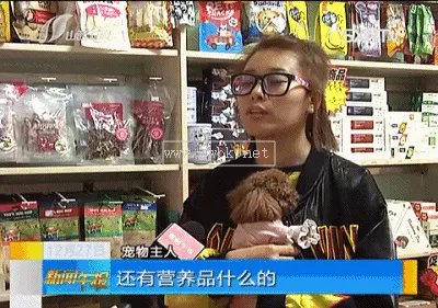 少錢狗糧是什么原因