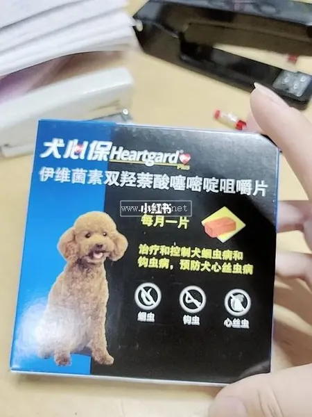 6斤的狗吃多少犬心保