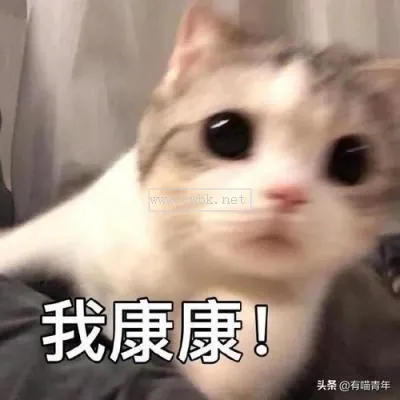 貓為什么會說話  