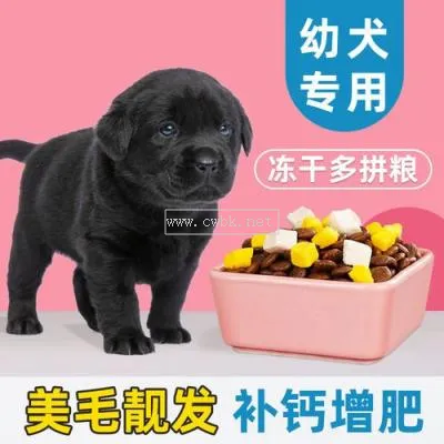 幼犬狗糧怎么喂  