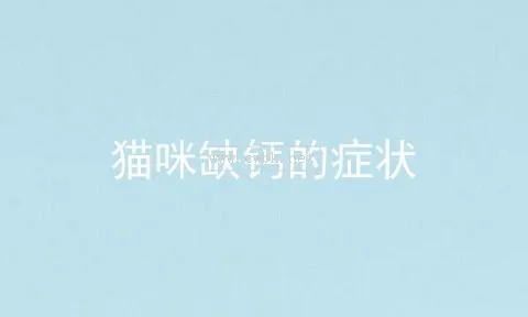 怎么檢查貓咪缺鈣