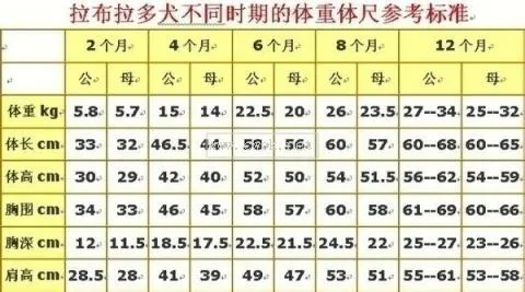 阿拉斯加幼犬食量多少