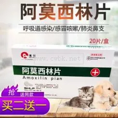 貓打的消炎針叫什么藥