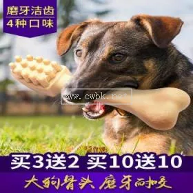 狗狗怎么不咬磨牙棒