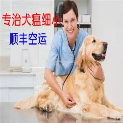 犬瘟熱癥狀