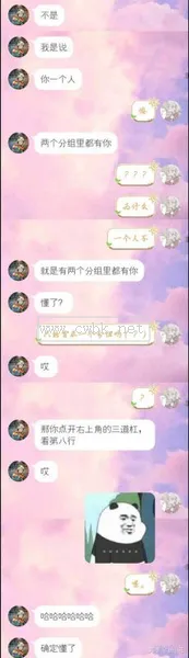 女朋友為了貓和男朋友分手 