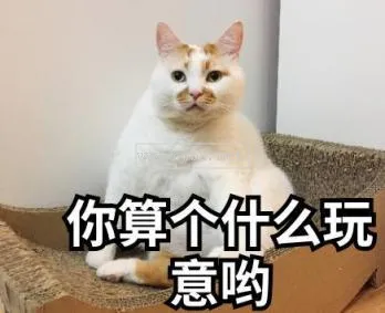 貓能學會說人話嗎 