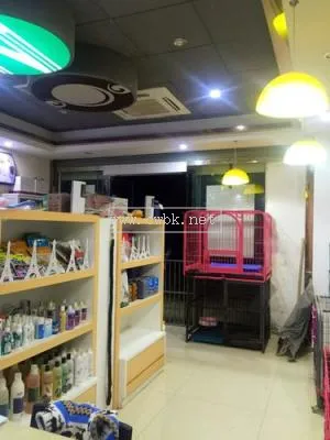 附近寵物店