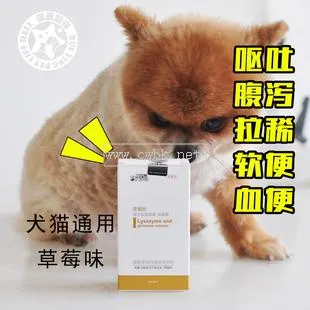 狗狗嘔吐帶血吃什么藥好得快