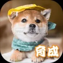 怎么與狗狗游戲成犬飼養(yǎng) 